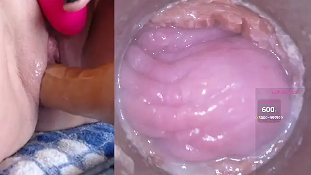 Snapshot of danigirl866 chatting on 5, 3, 2025 danigirl866 online show from 5, 3, 2025