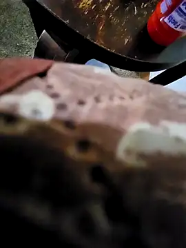 pajarol5co online show from 26, 1, 2025