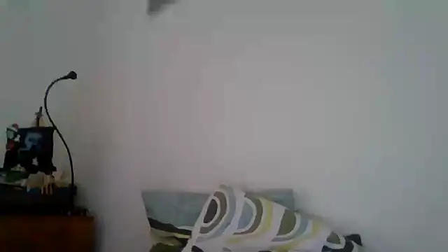 joaodias 97 online show from 17, 2, 2025