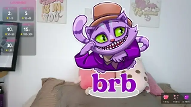 Snapshot of northly chatting on 17, 3, 2026 northly online show from 17, 3, 2026