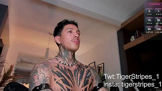 TigerStripes1  online show from 22, 2, 2025