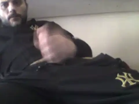 Snapshot of coppiasenzacensura chatting on 15, 2, 2025 coppiasenzacensura online show from 15, 2, 2025