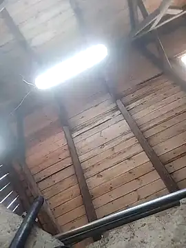 lotrando54 online show from 29, 12, 2024