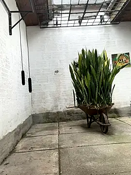 oliver price1 online show from 21, 10, 2025